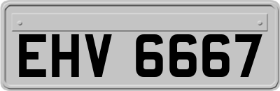 EHV6667
