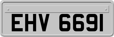 EHV6691