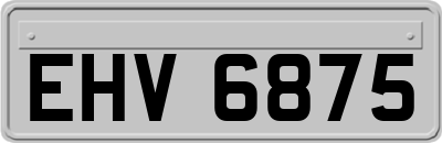 EHV6875