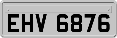 EHV6876