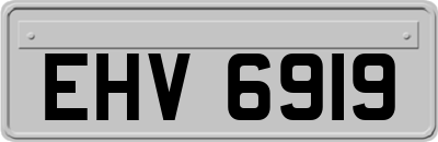 EHV6919