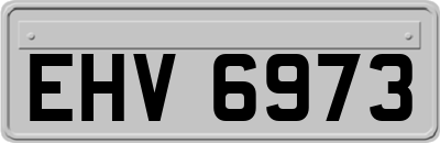 EHV6973
