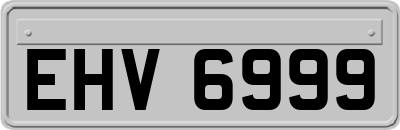 EHV6999