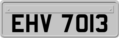 EHV7013