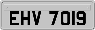 EHV7019
