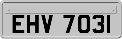 EHV7031