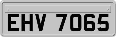 EHV7065
