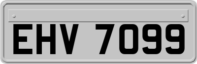 EHV7099