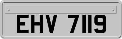 EHV7119