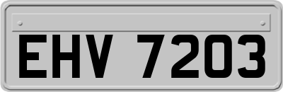 EHV7203