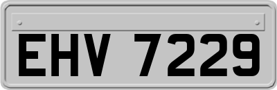 EHV7229