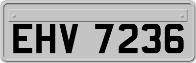 EHV7236