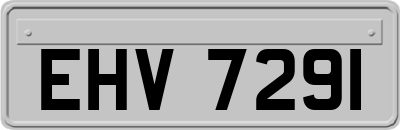 EHV7291