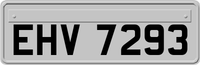 EHV7293