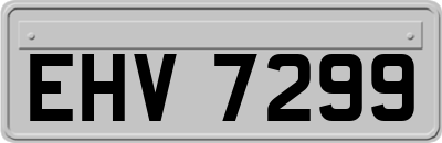 EHV7299