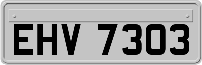 EHV7303