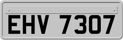 EHV7307