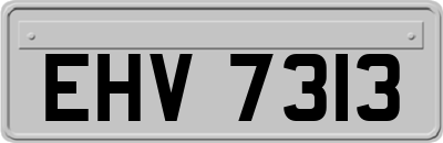 EHV7313