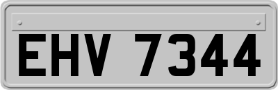 EHV7344