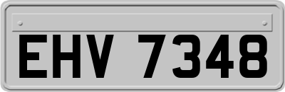 EHV7348