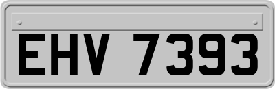 EHV7393