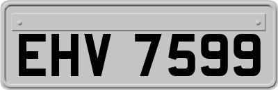 EHV7599