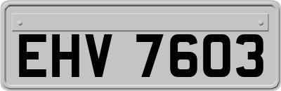 EHV7603