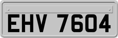 EHV7604