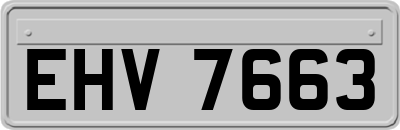 EHV7663