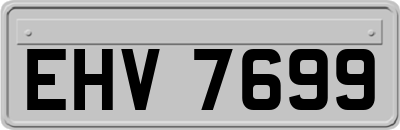 EHV7699