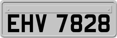 EHV7828