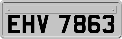 EHV7863