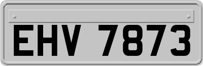 EHV7873