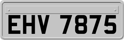 EHV7875