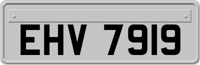 EHV7919