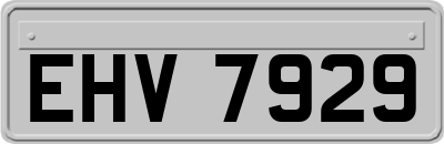 EHV7929