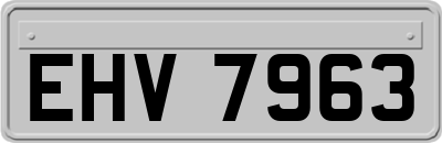 EHV7963