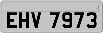 EHV7973