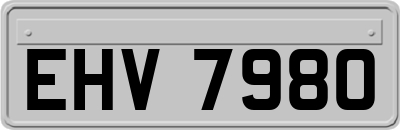 EHV7980