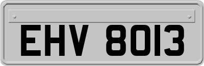 EHV8013