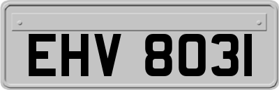 EHV8031