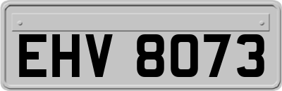 EHV8073