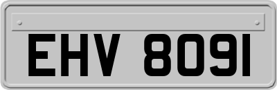 EHV8091