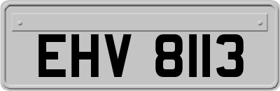 EHV8113