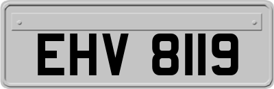 EHV8119