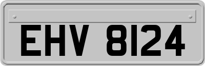EHV8124