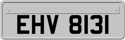 EHV8131
