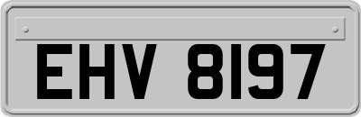 EHV8197