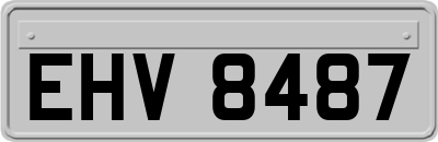 EHV8487