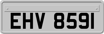 EHV8591